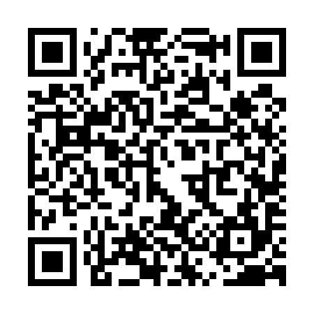QR code for US6594