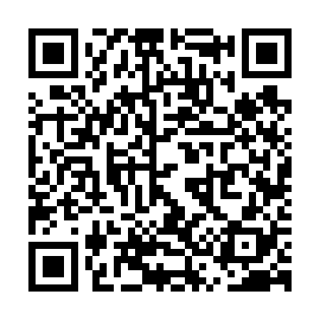 QR code for US6628