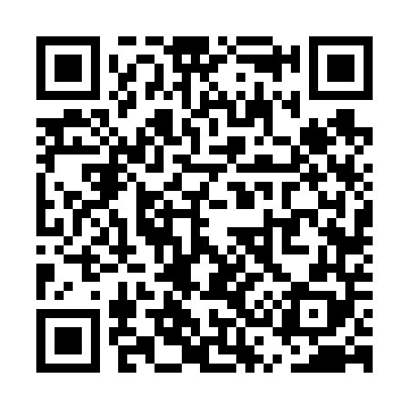 QR code for US6648