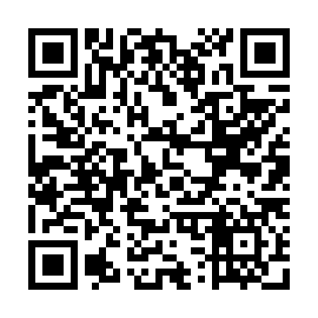 QR code for US6687