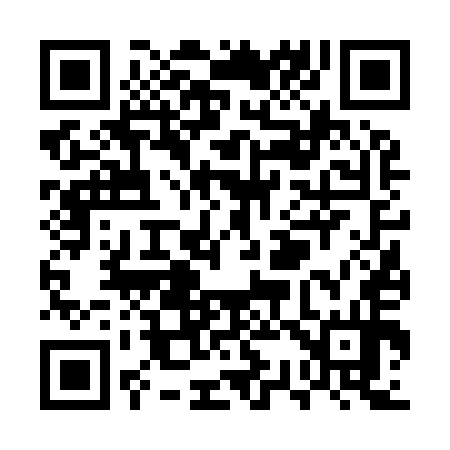 QR code for US6954