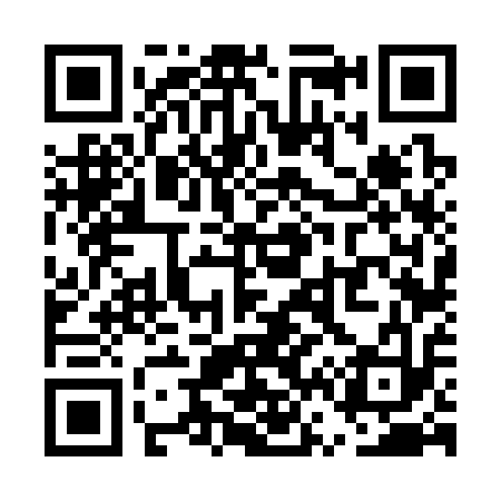 QR code for UV6313