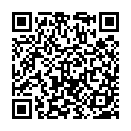 QR code for UY6541