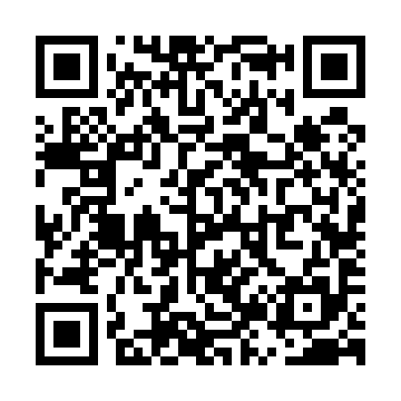 QR code for UZ6595