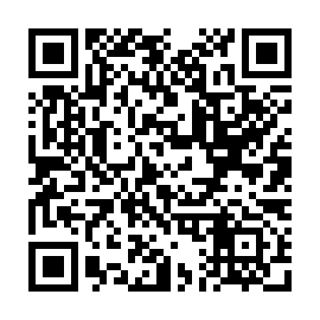 QR code for VA6393