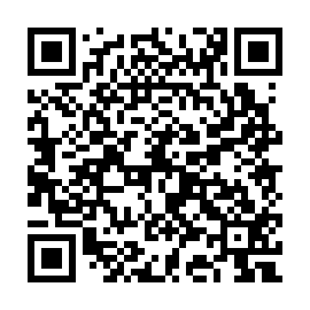 QR code for VC0313