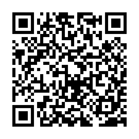 QR code for VE3095