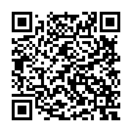 QR code for VE3867