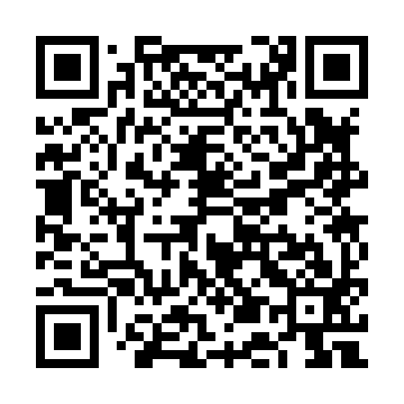 QR code for VE3893