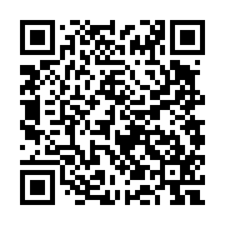 QR code for VE6417
