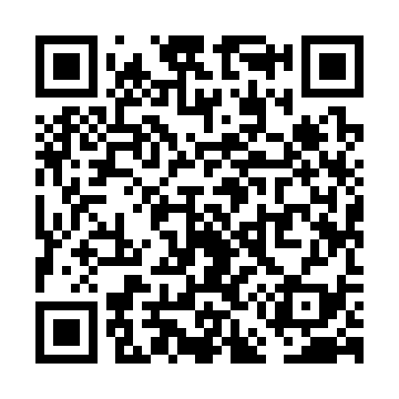 QR code for VE9339