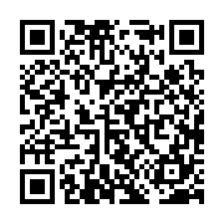 QR code for VG0374