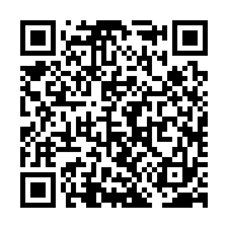 QR code for VG2333