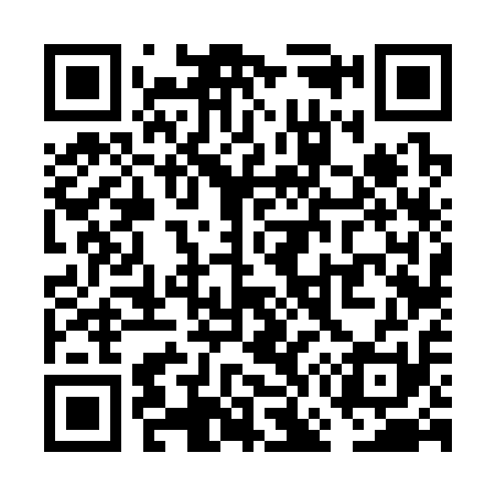 QR code for VG6311