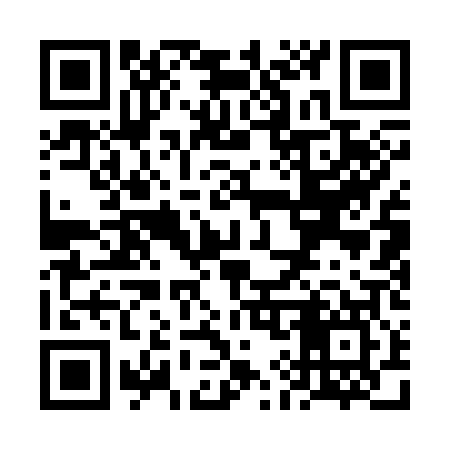 QR code for VI1307