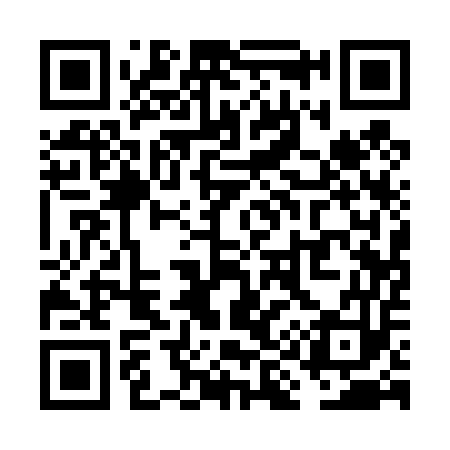 QR code for VI1453