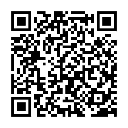 QR code for VI2838