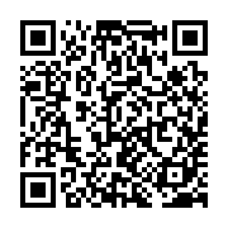 QR code for VI3381
