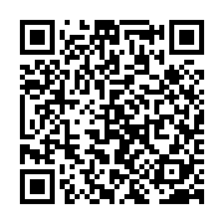 QR code for VI3828
