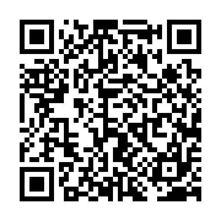 QR code for VI4317