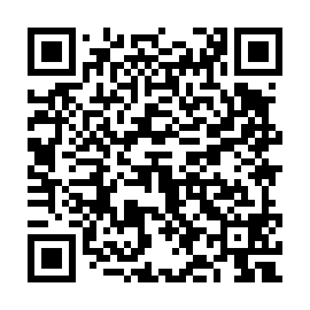 QR code for VI9498