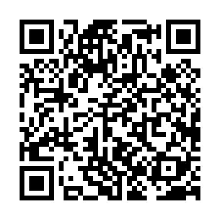 QR code for VJ0029