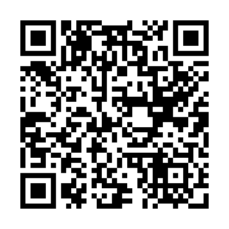 QR code for VJ0303