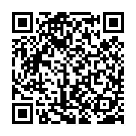 QR code for VJ2409