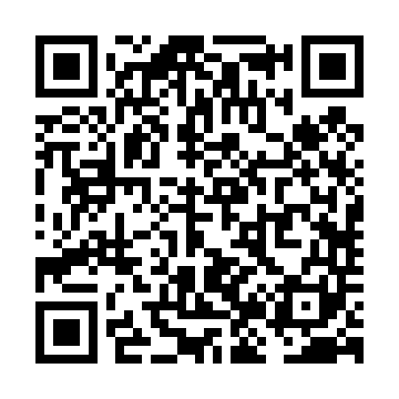 QR code for VJ2441