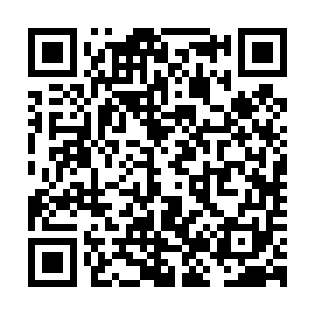 QR code for VJ2451
