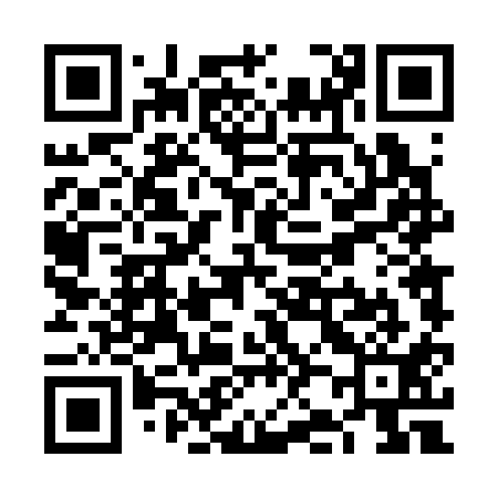 QR code for VJ4311