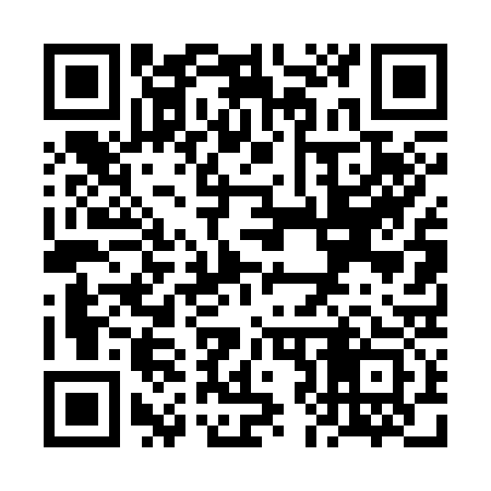 QR code for VJ4333