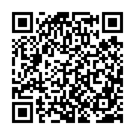 QR code for VJ4666