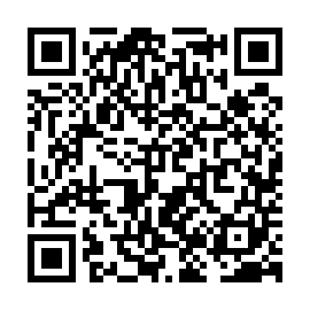 QR code for VJ6541