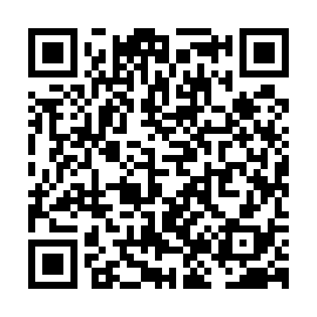 QR code for VJ9538