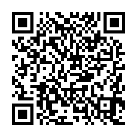 QR code for VL0991