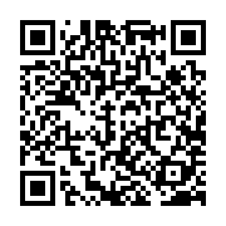 QR code for VL4389