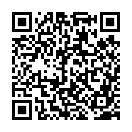 QR code for VL6666