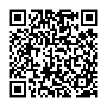 QR code for VL9647
