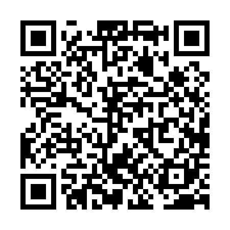 QR code for VN0101
