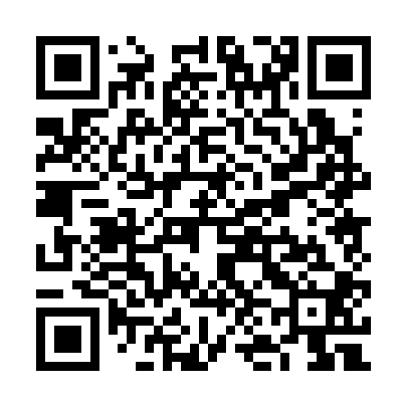 QR code for VN0300