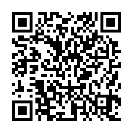 QR code for VN0331