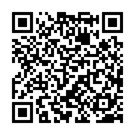 QR code for VN0335