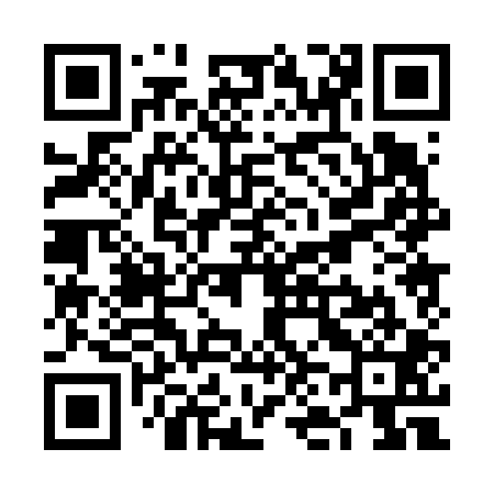QR code for VN0601
