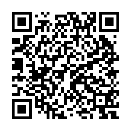 QR code for VN1250