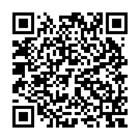 QR code for VN1295