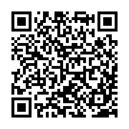 QR code for VN2384