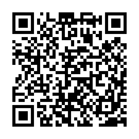 QR code for VN2417