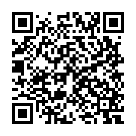 QR code for VN3141
