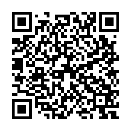 QR code for VN3163